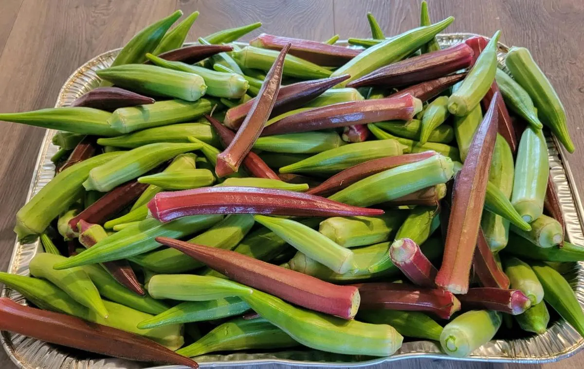 Fresh Farm Vegetables and  Fresh Groundnut